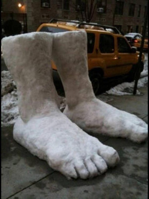 snowfeet