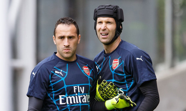 Cech better suited to combat and aerial threat